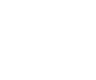 statIcon